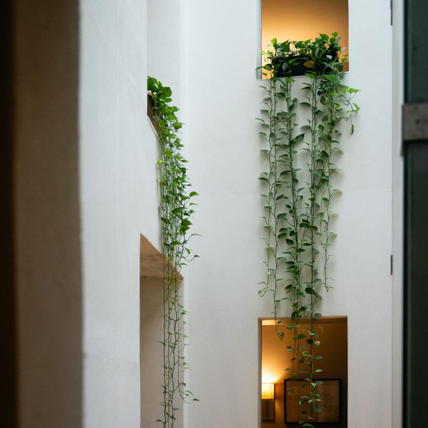 Hotel Ramblas Internacional
