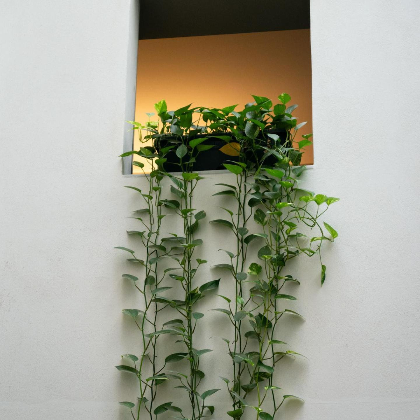 Hotel Ramblas Internacional
