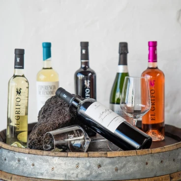 Hotel Bodega EL GRIFO