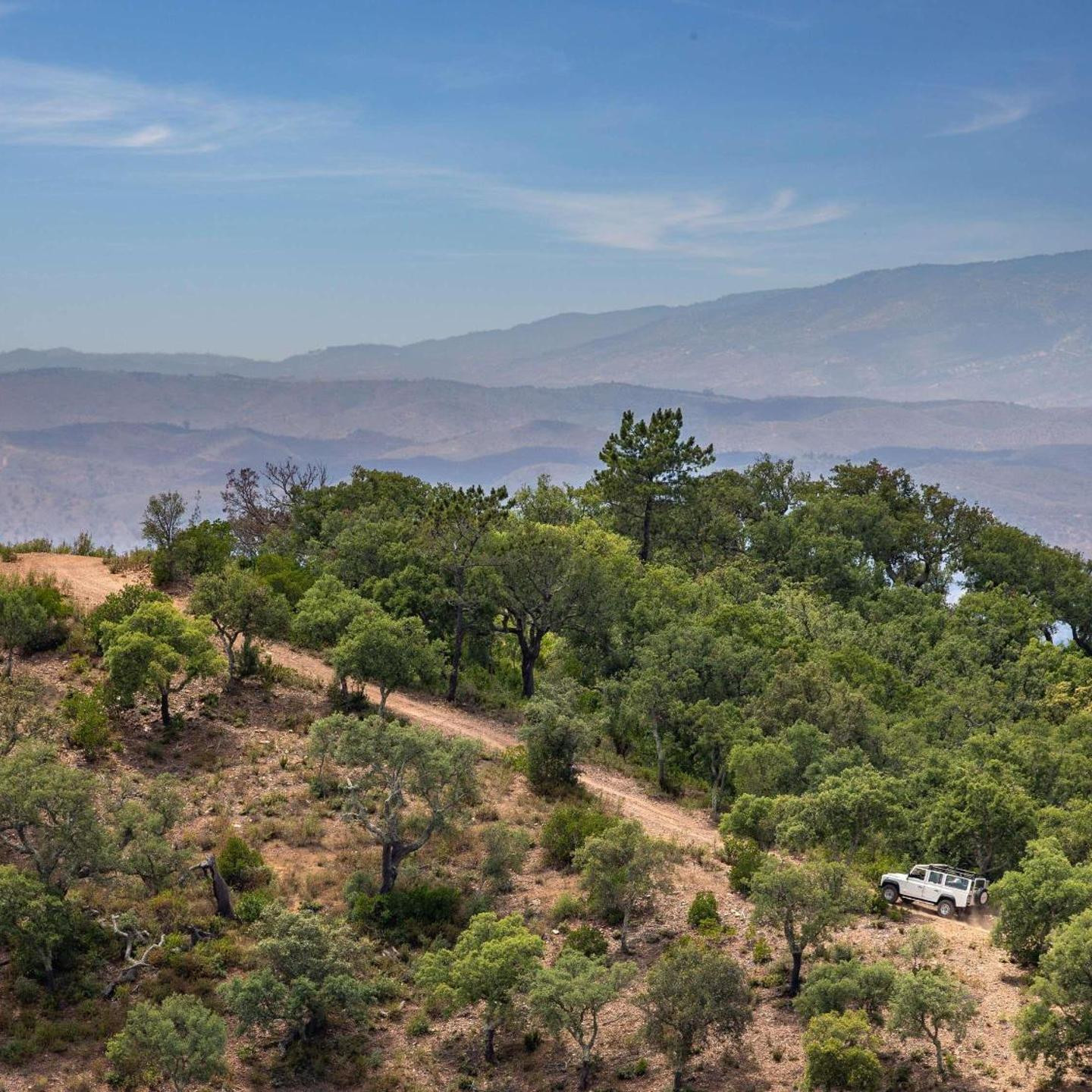 Victoria Golf Resort and Spa Managed by Accor