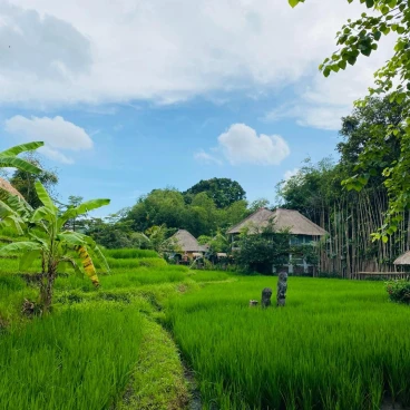 KTS Balinese Villas