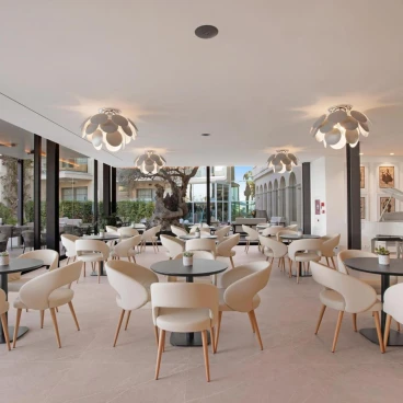 VIVA Golf Adults Only 18+