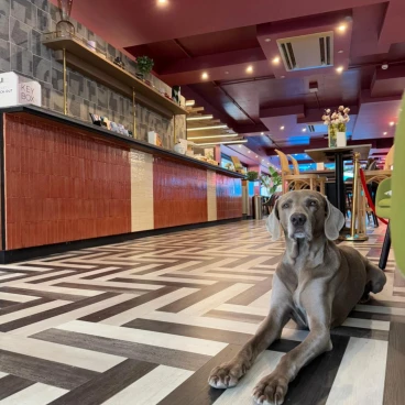 Mercure Roma Cinecittà