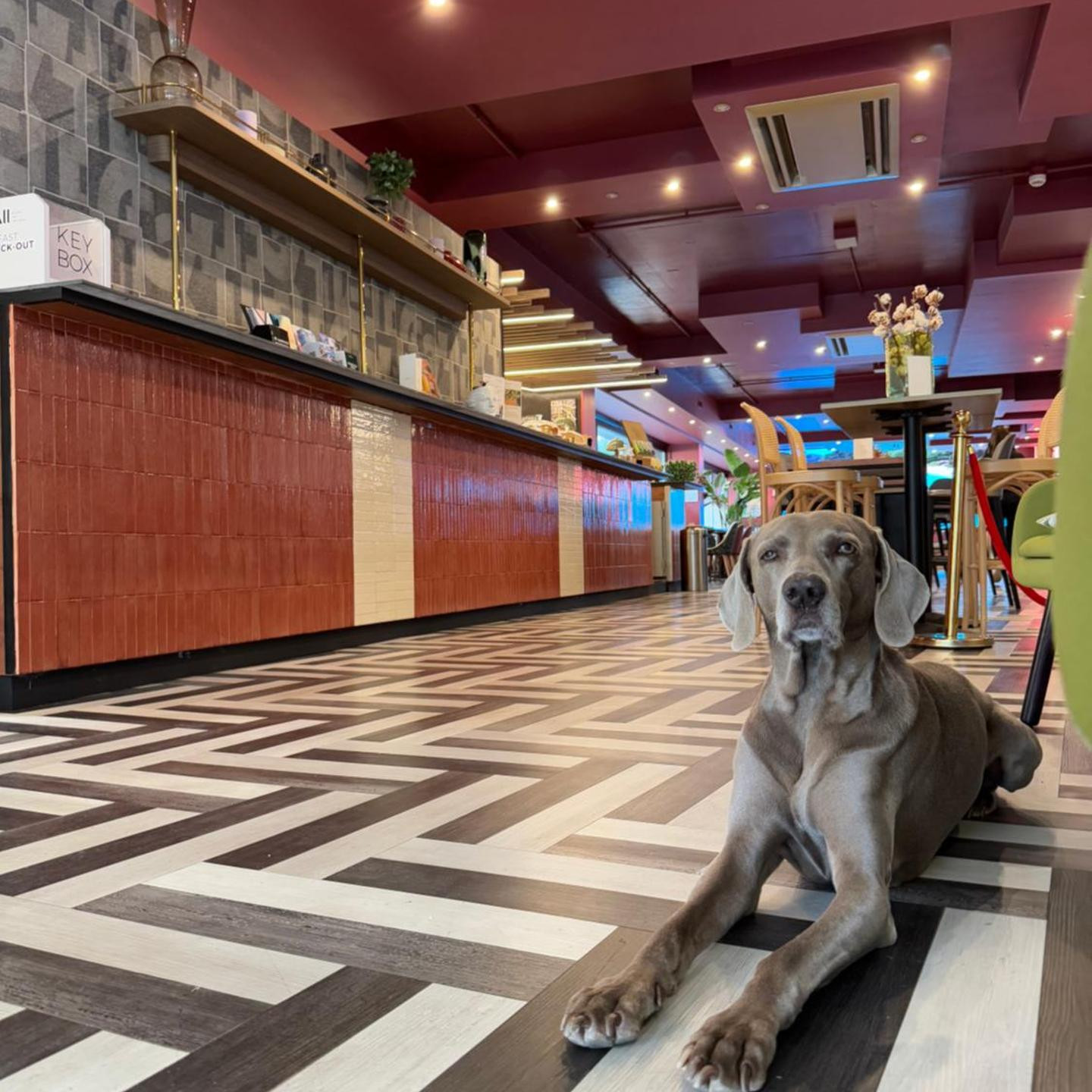 Mercure Roma Cinecittà