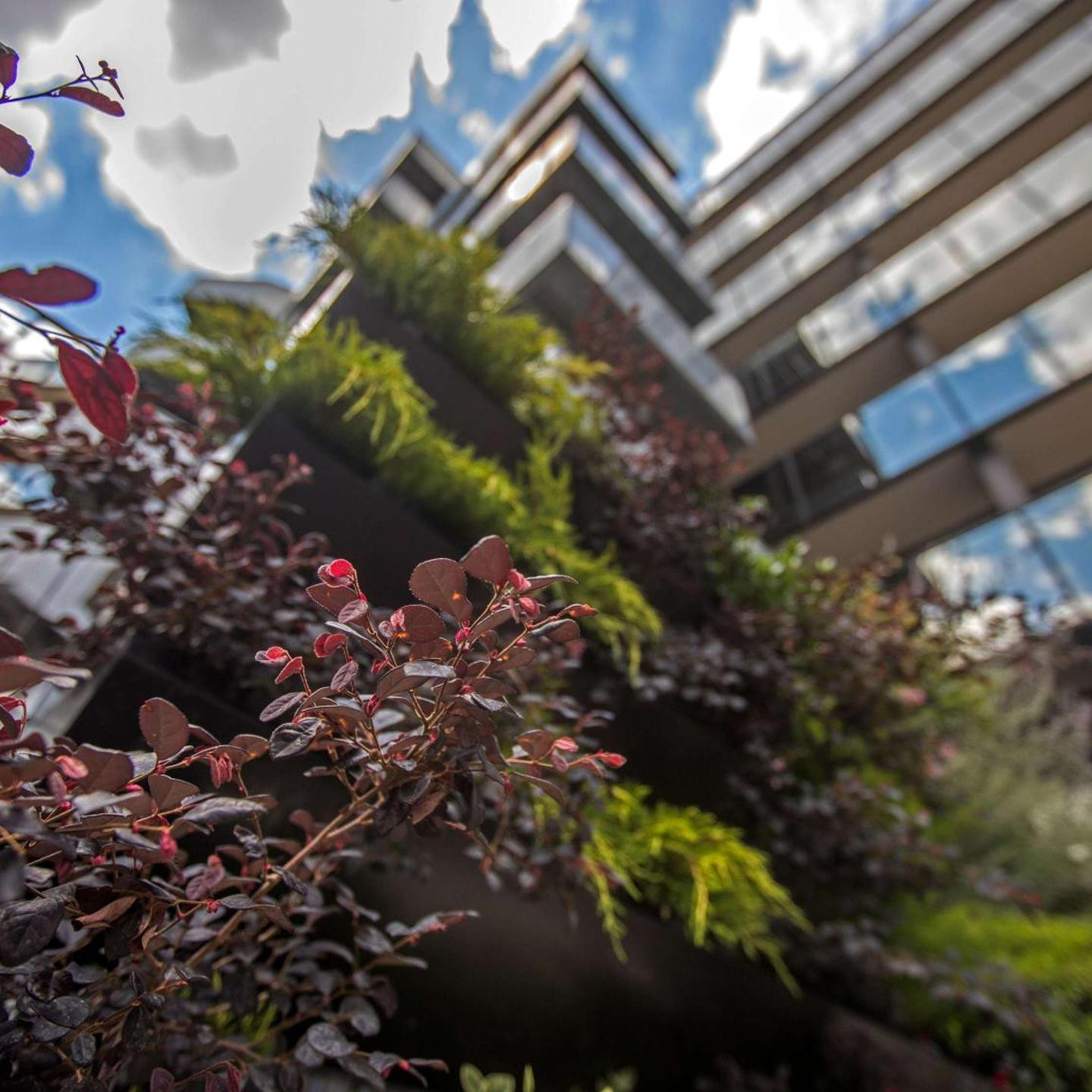 Mercure Roma Cinecittà