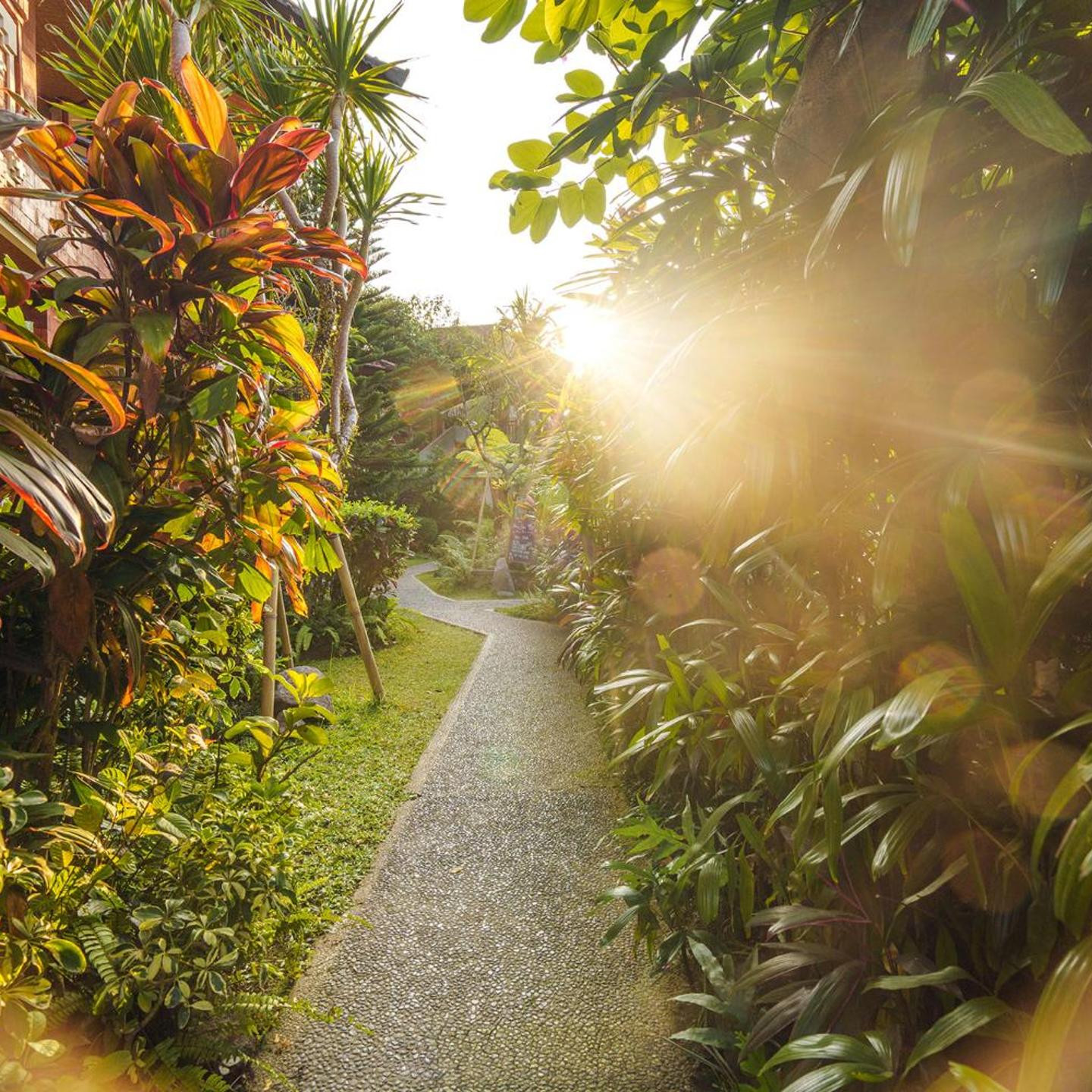 Rama Phala Resort & Spa