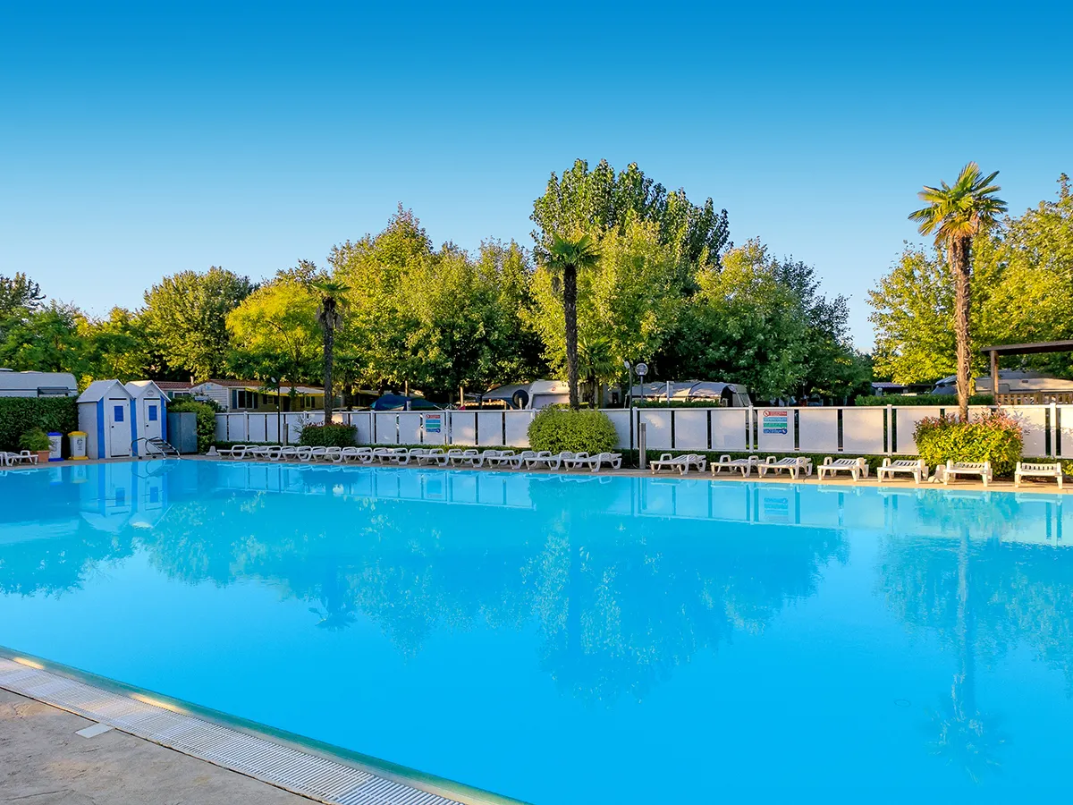 Camping Village Butterfly by Happy Camp