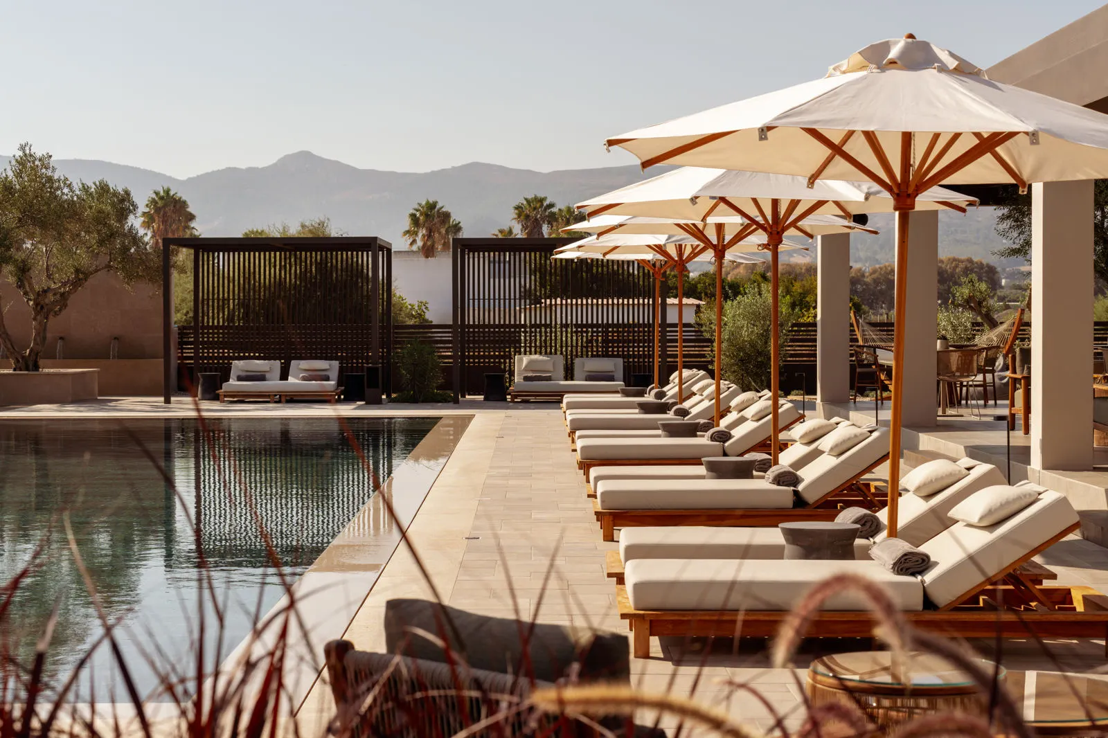 The Ritual, A Wellness Retreat