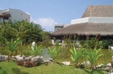 Desire Riviera Maya Pearl Resort