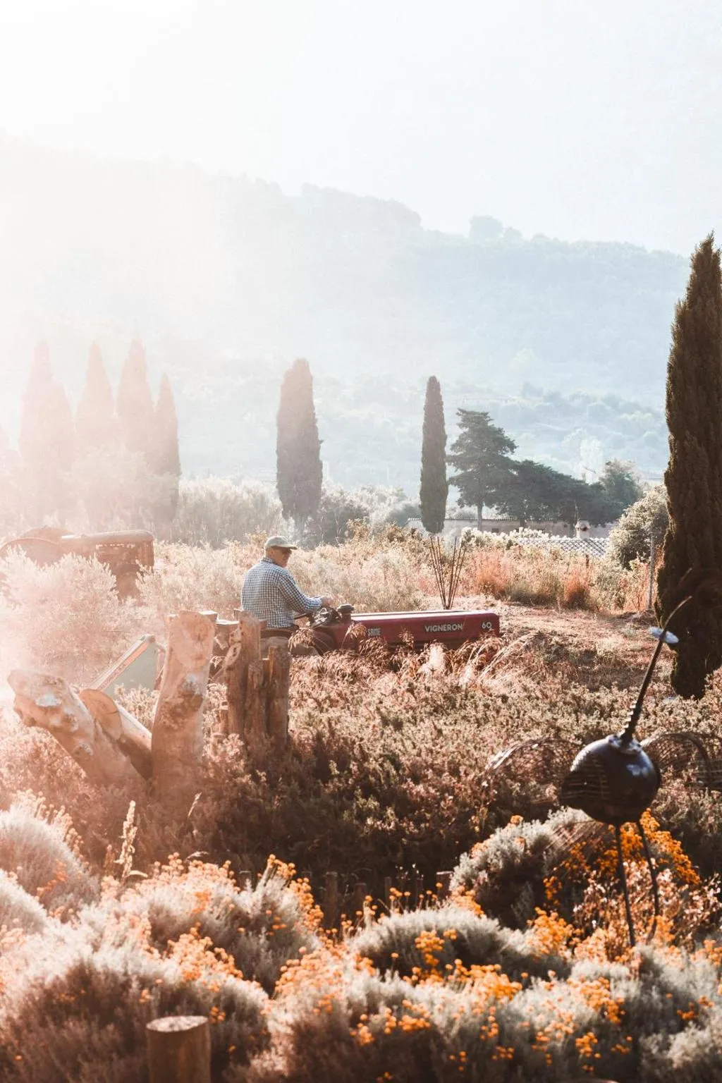 Finca Ca N'ai