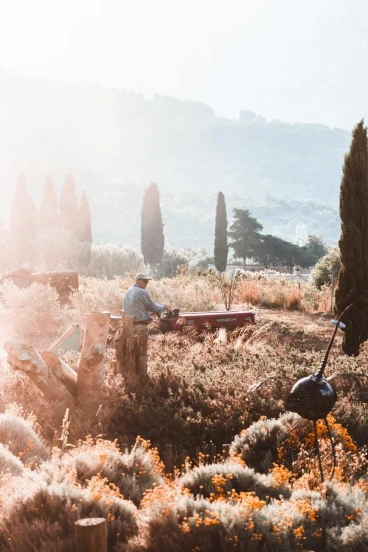 Finca Ca N'ai