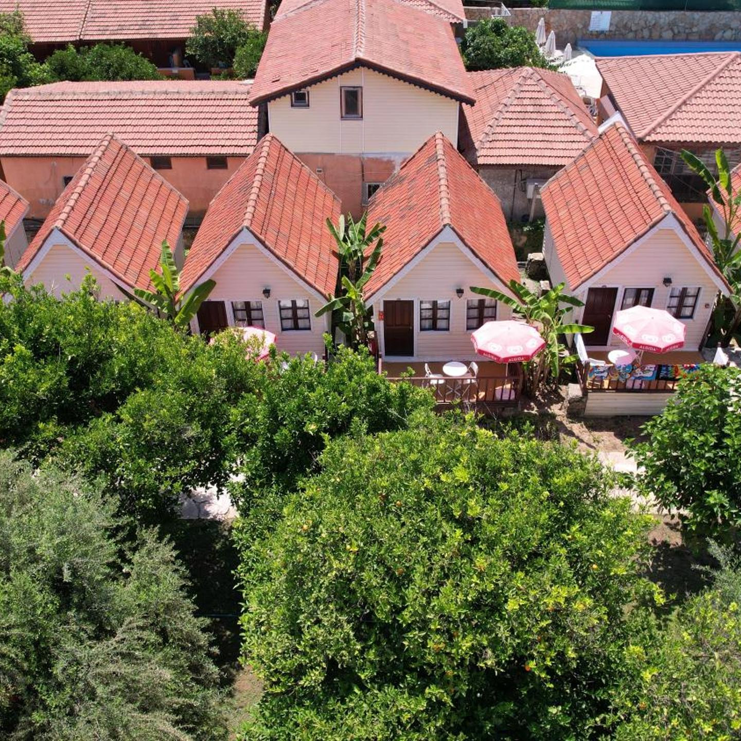 Clover Magic Nova Beach Hotel
