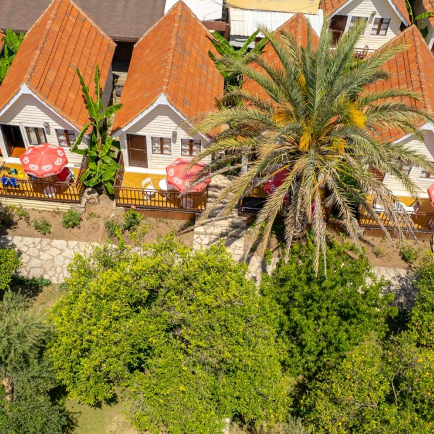 Clover Magic Nova Beach Hotel