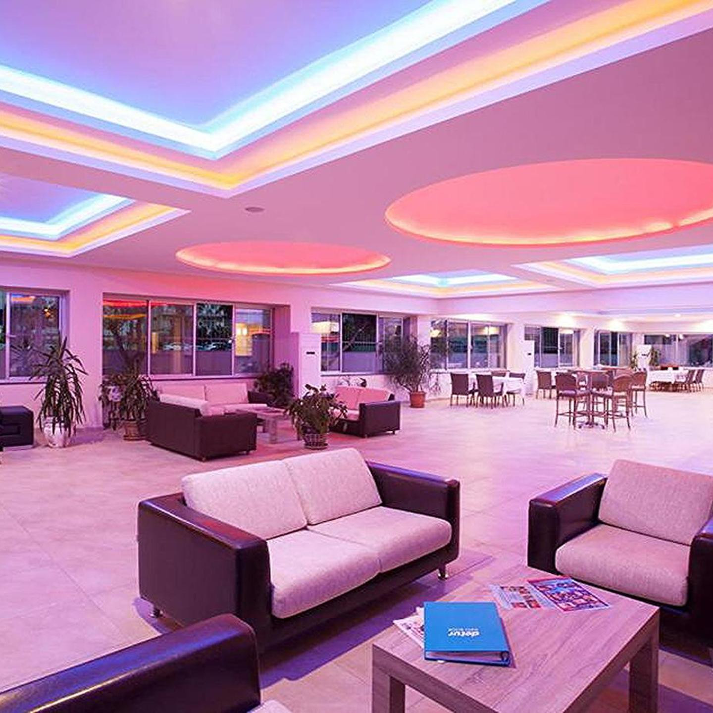 Catty Cats Garden Hotel