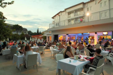 Catty Cats Garden Hotel