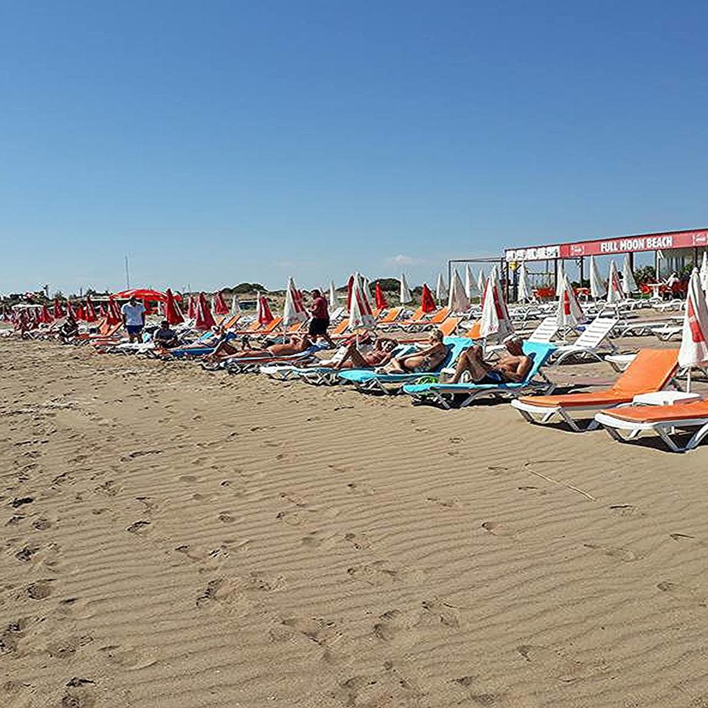 Catty Cats Garden Hotel