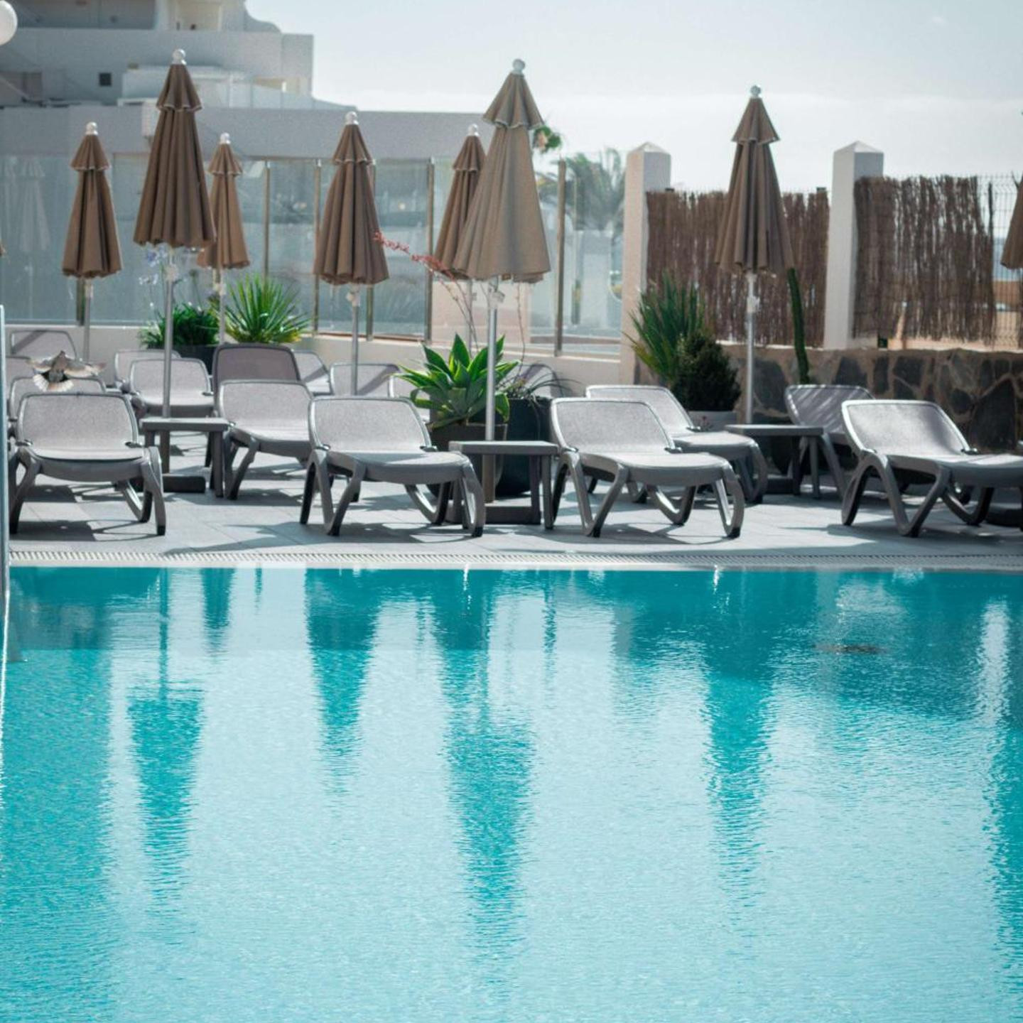 Apartamentos El Palmar
