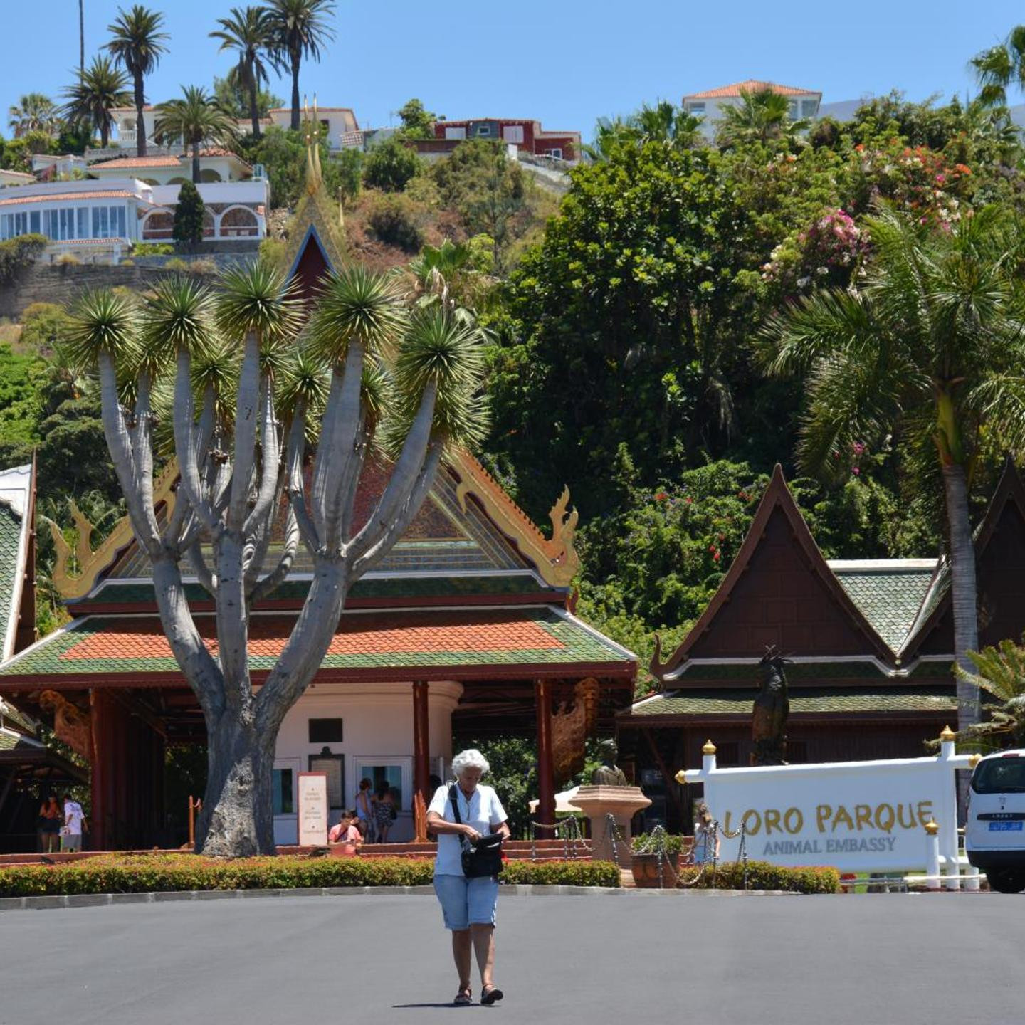 Sol Puerto de la Cruz