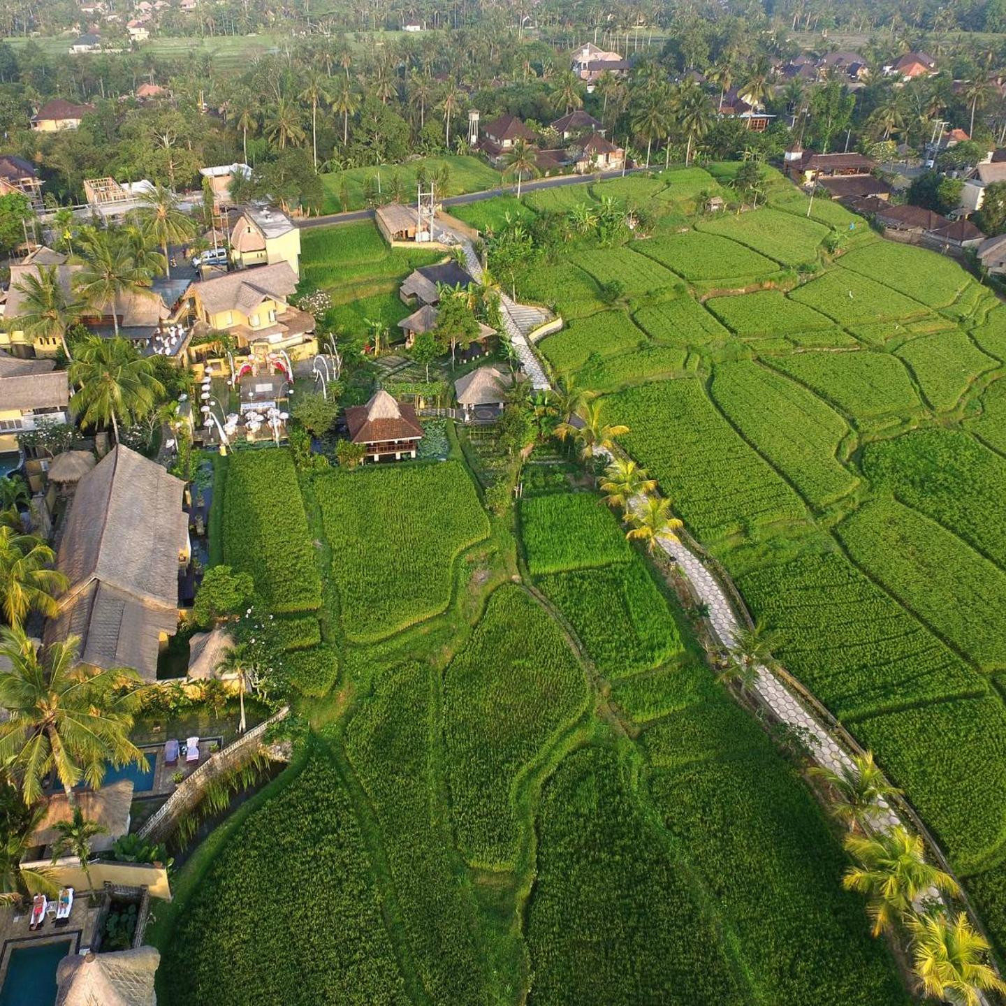 Wapa di Ume Ubud