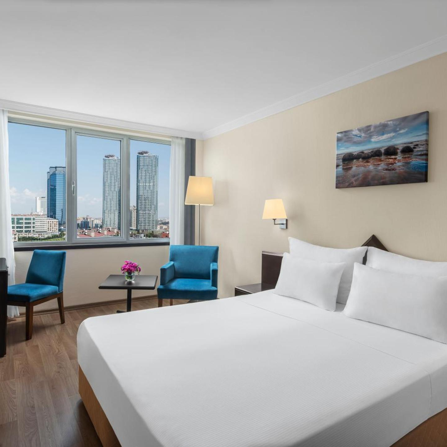 Dedeman Istanbul