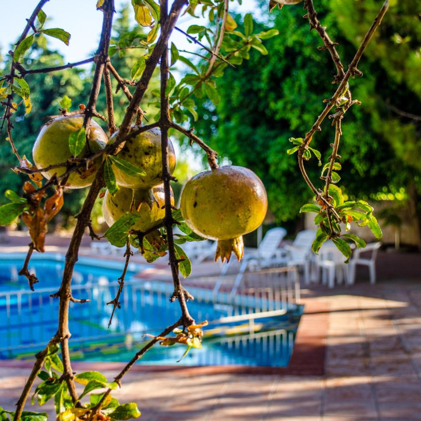 Your Memories Aparthotel by Estia