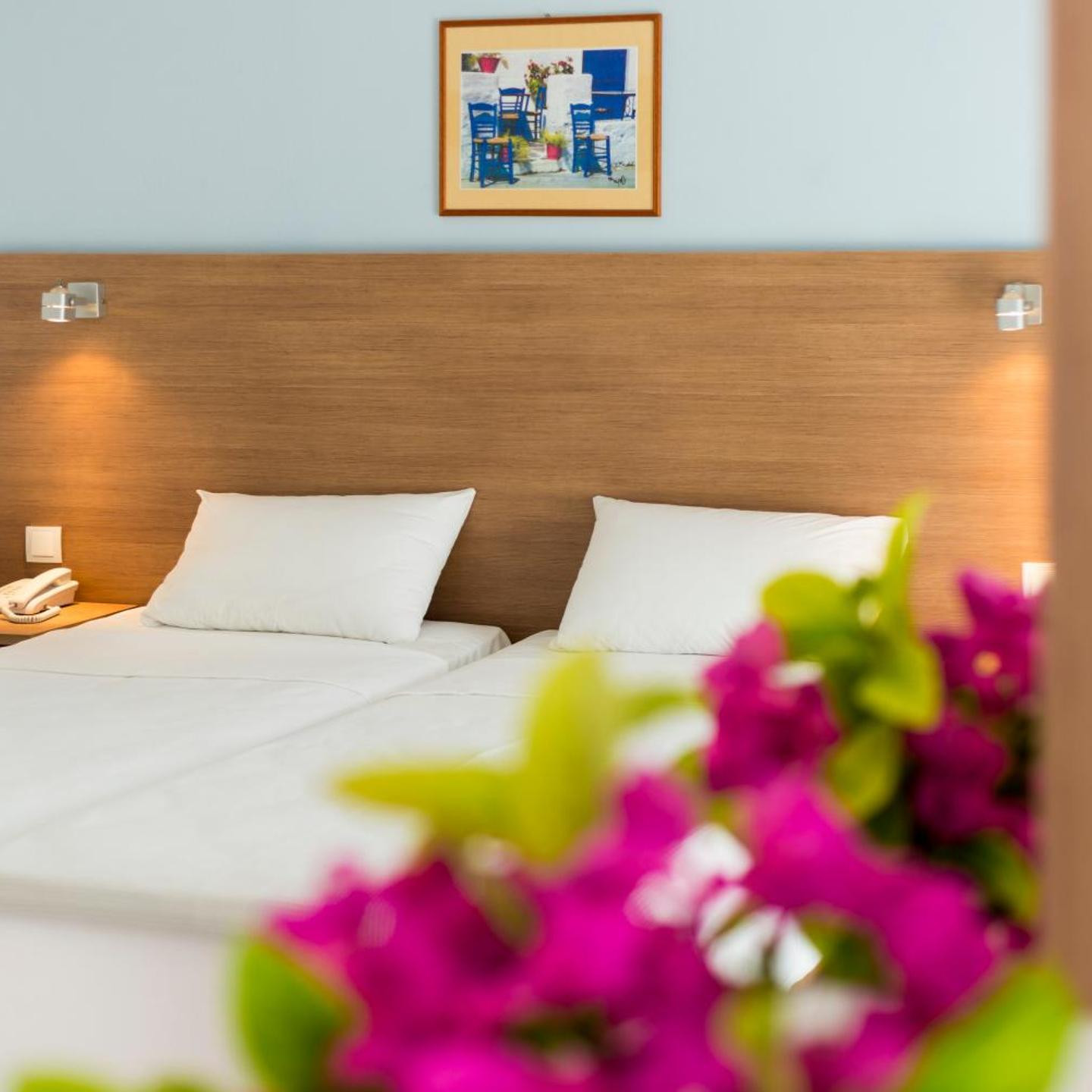 HOTEL TINA FLORA
