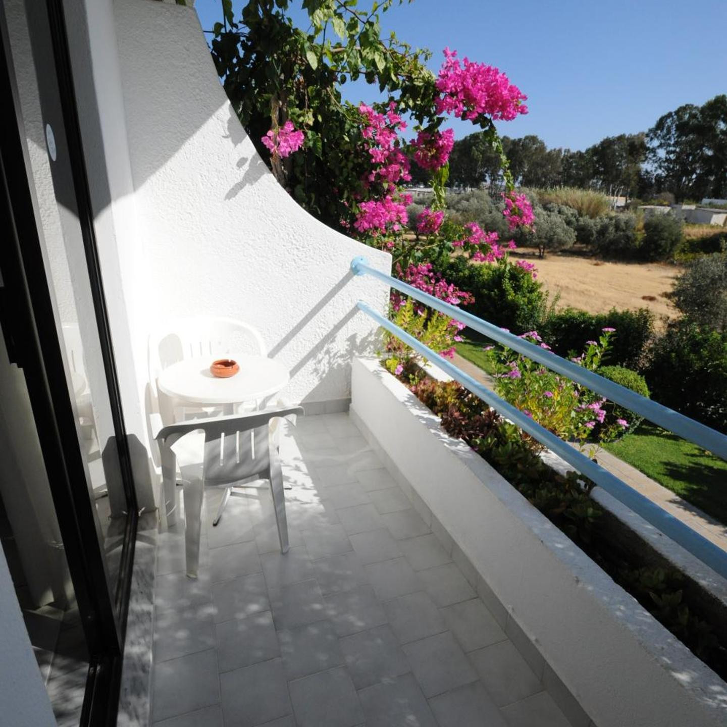 HOTEL TINA FLORA