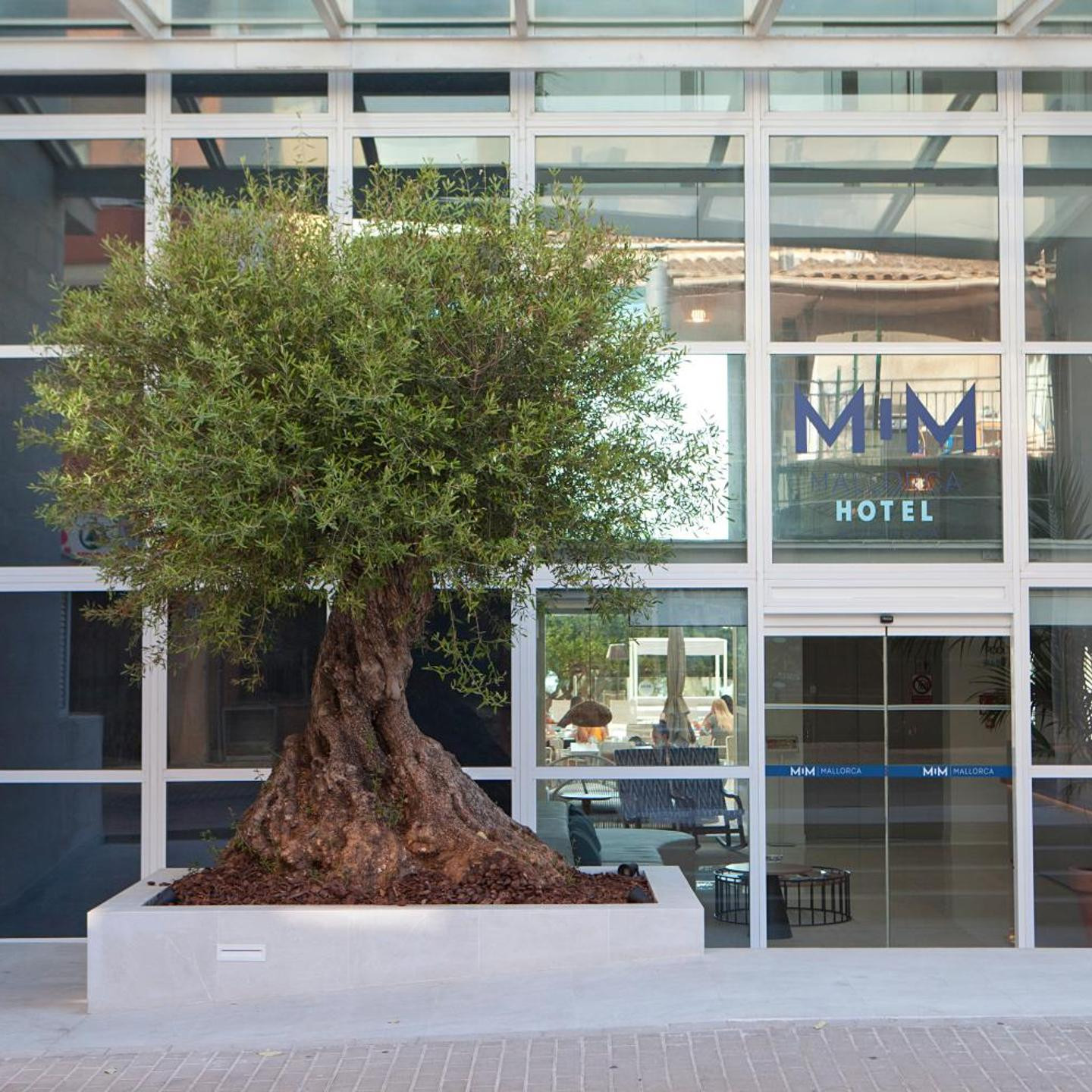 Hotel MiM Mallorca & Spa - Adults Only