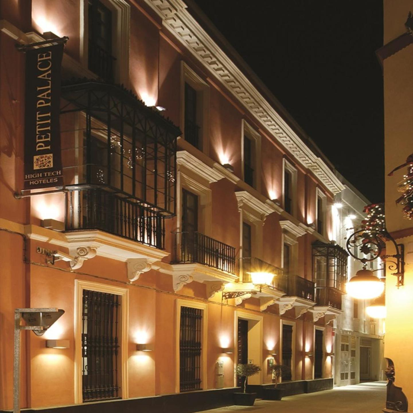 Petit Palace Marques Santa Ana