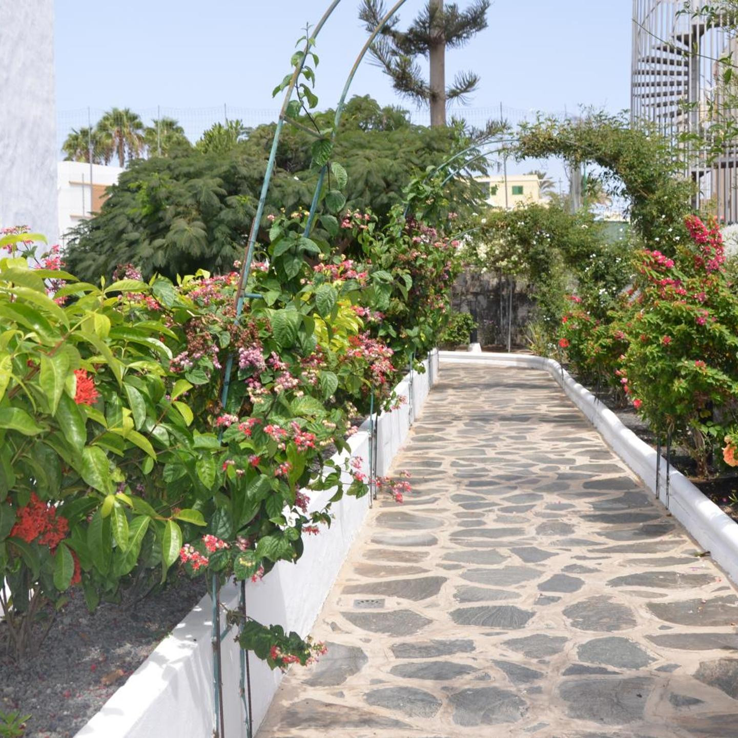 Alsol Las Orquídeas