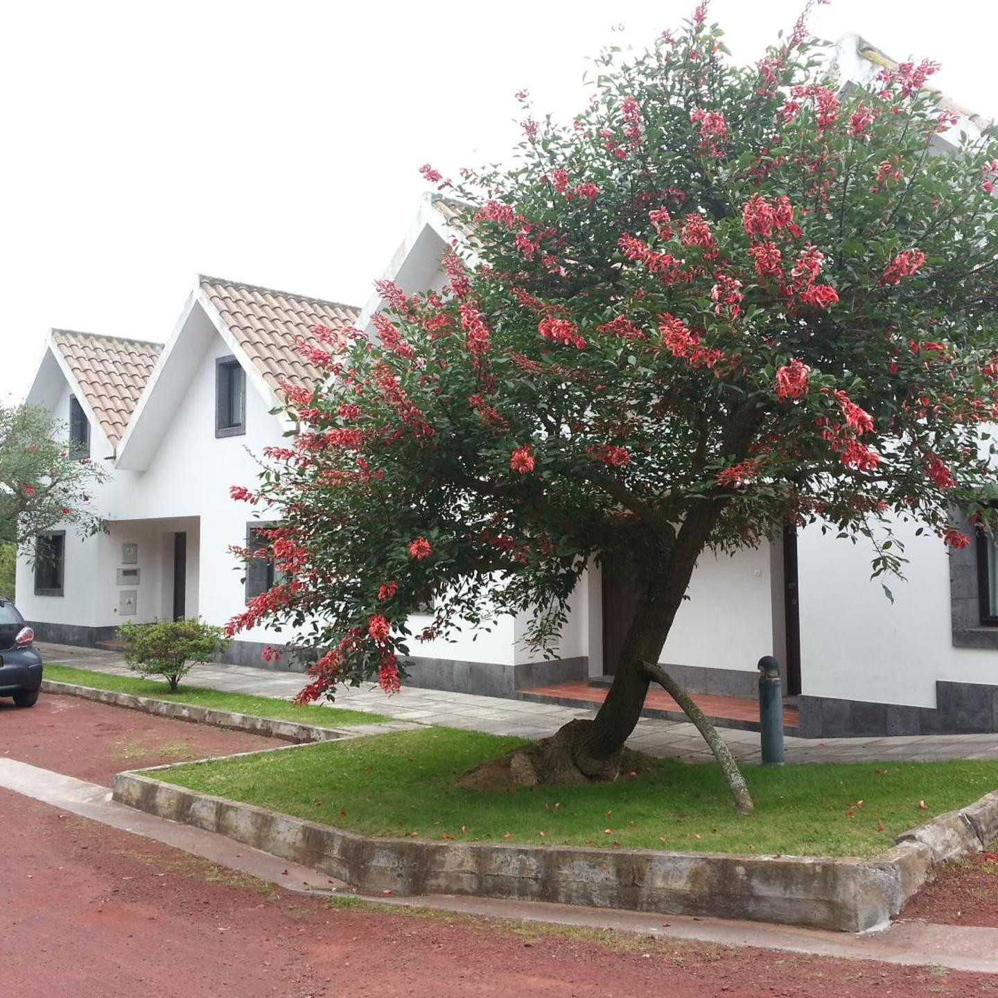 Apartamentos Turisticos Nossa Senhora Da Estrela