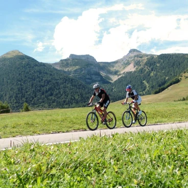 Hotel Dolomiti Chalet