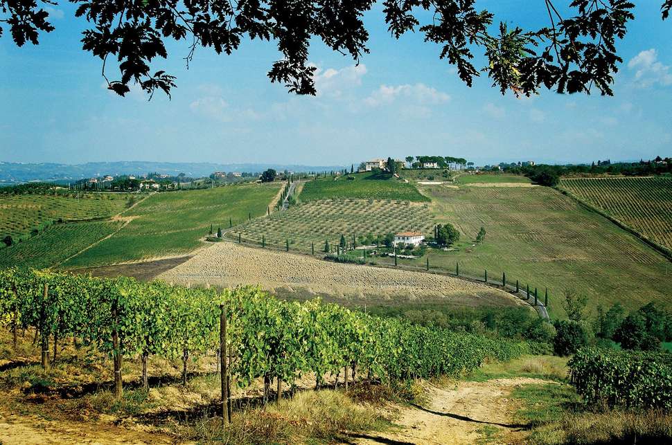 Agriturismo Poderi Arcangelo