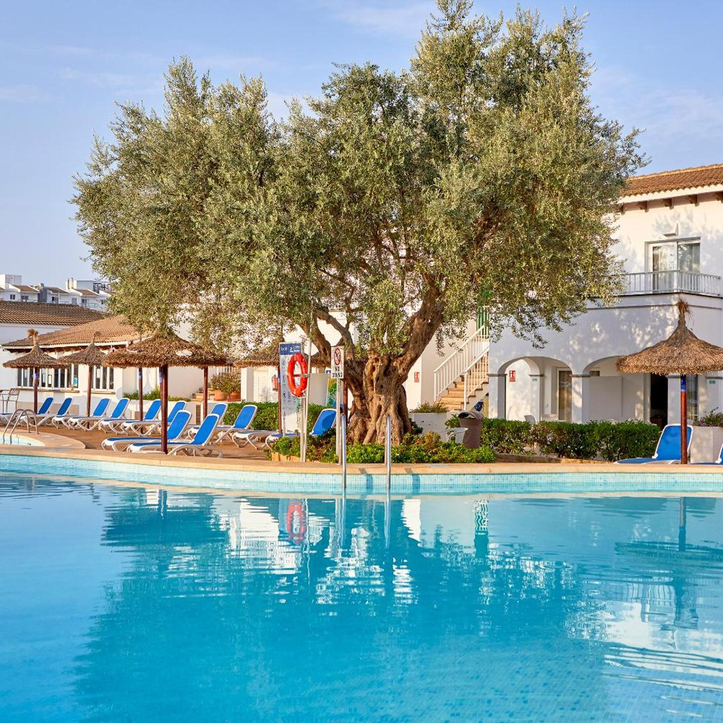 Resort Seaclub Alcudia Mediterranean