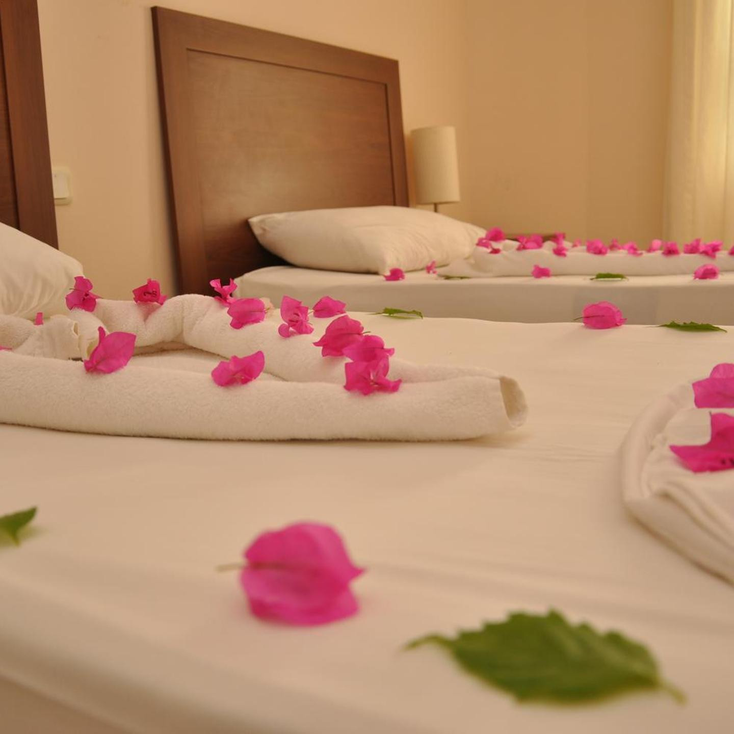 Siesta Beach Apartment