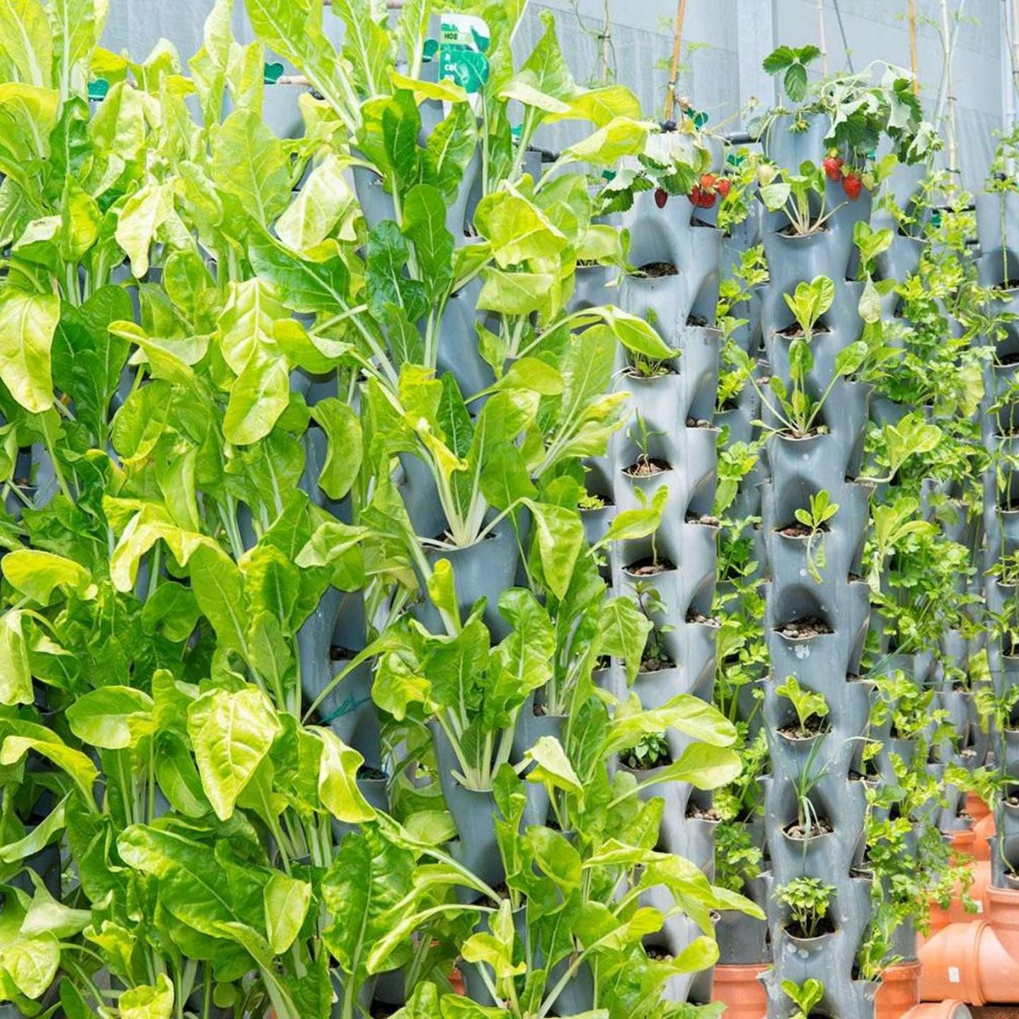 Higueron Hotel Malaga, Curio Collection by Hilton