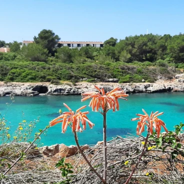 Ático Playa Santandria con Piscina y Wifi