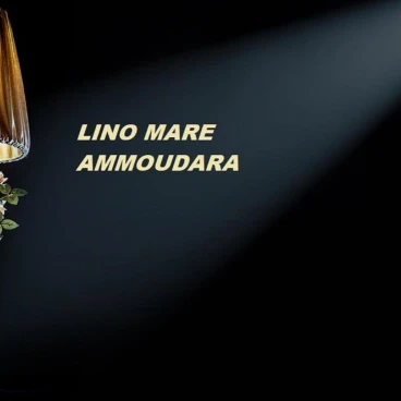 Lino Mare Boutique Hotel