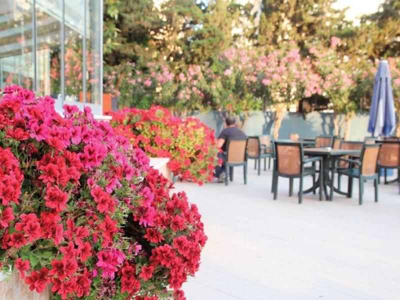 Hotel Simply Fine Hotel Alize