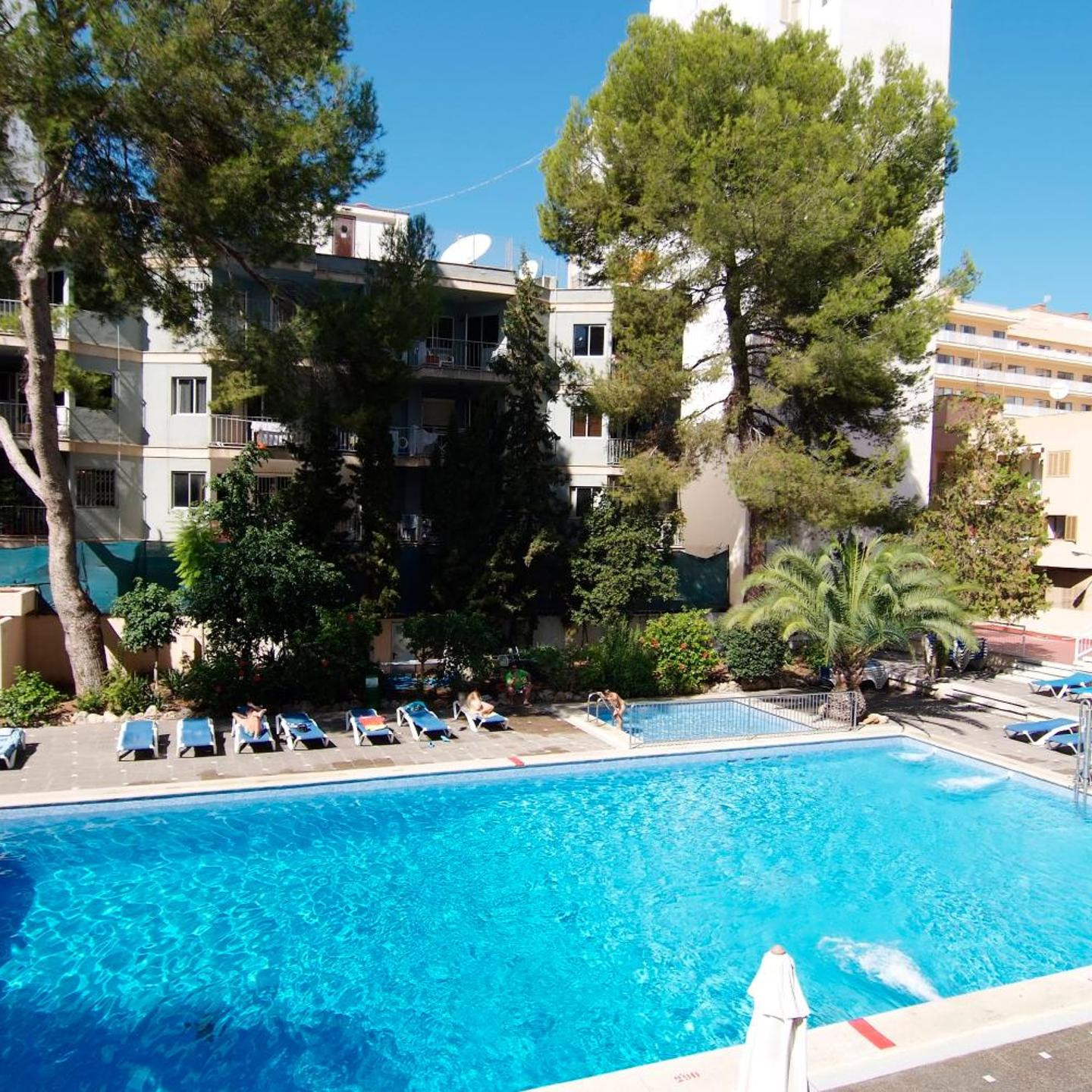 Tal Affiliated by Fergus