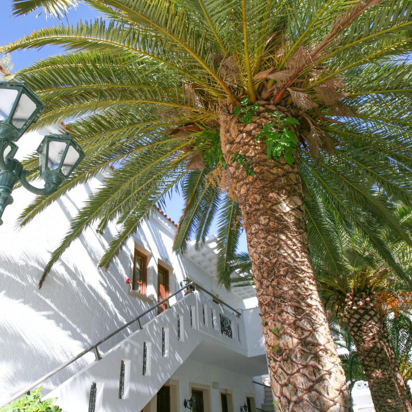 Flamingos Hotel Apartments