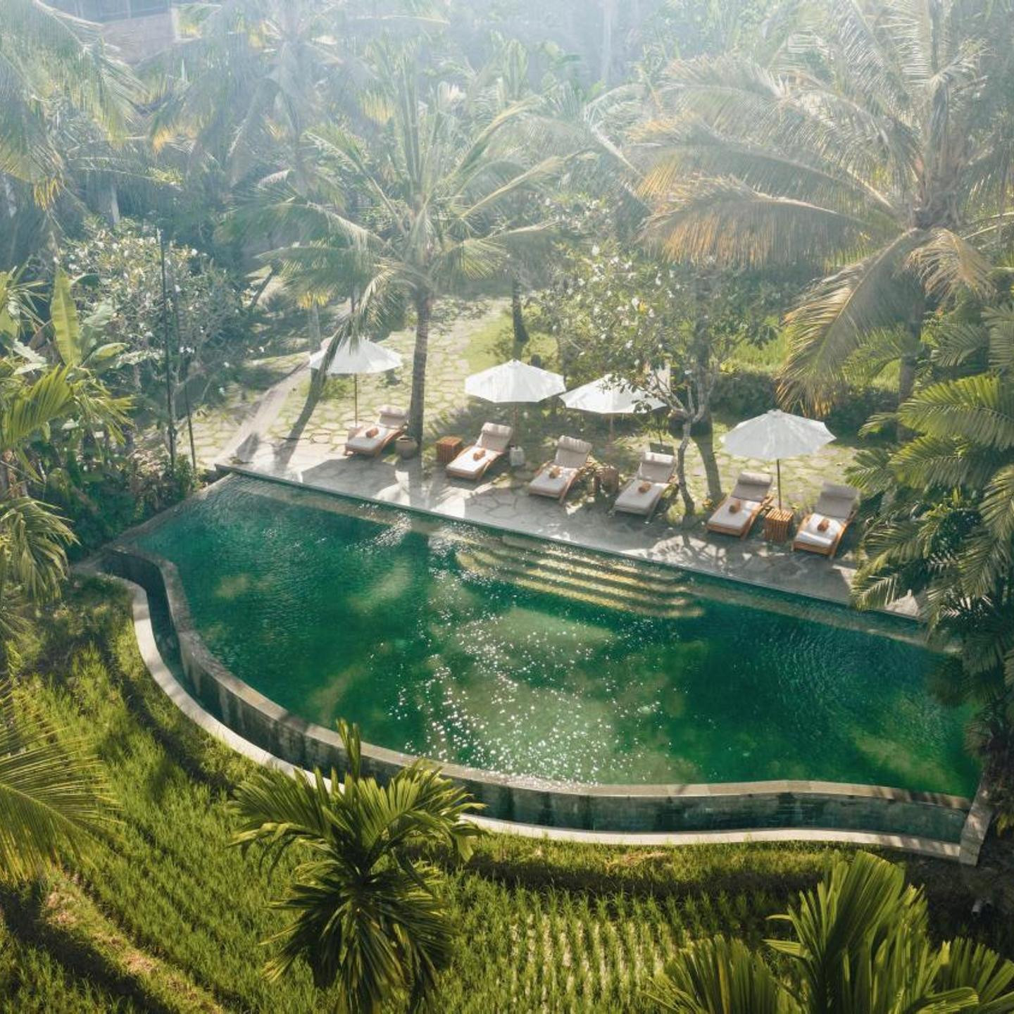 Alaya Resort Ubud