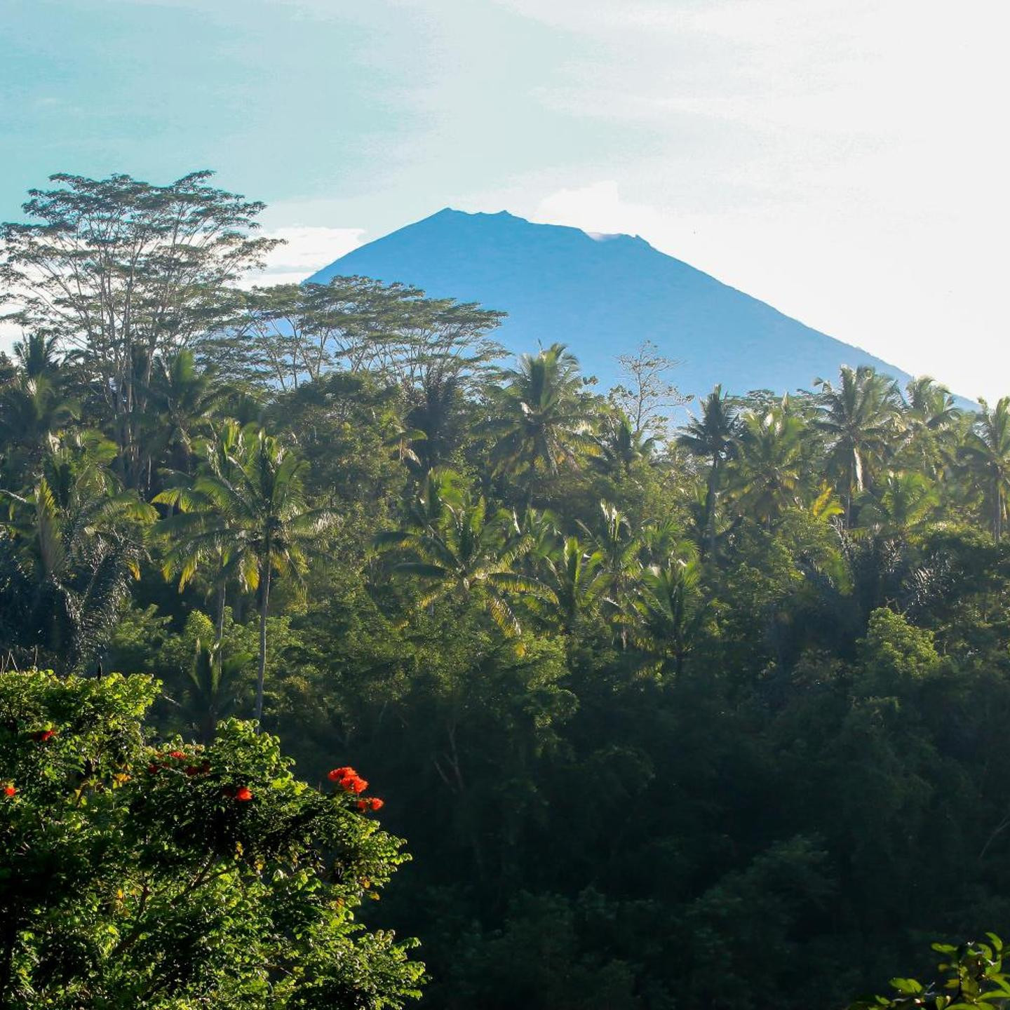 The Payogan Villa Resort and Spa