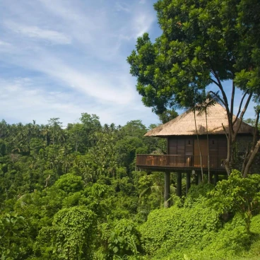 Alila Ubud