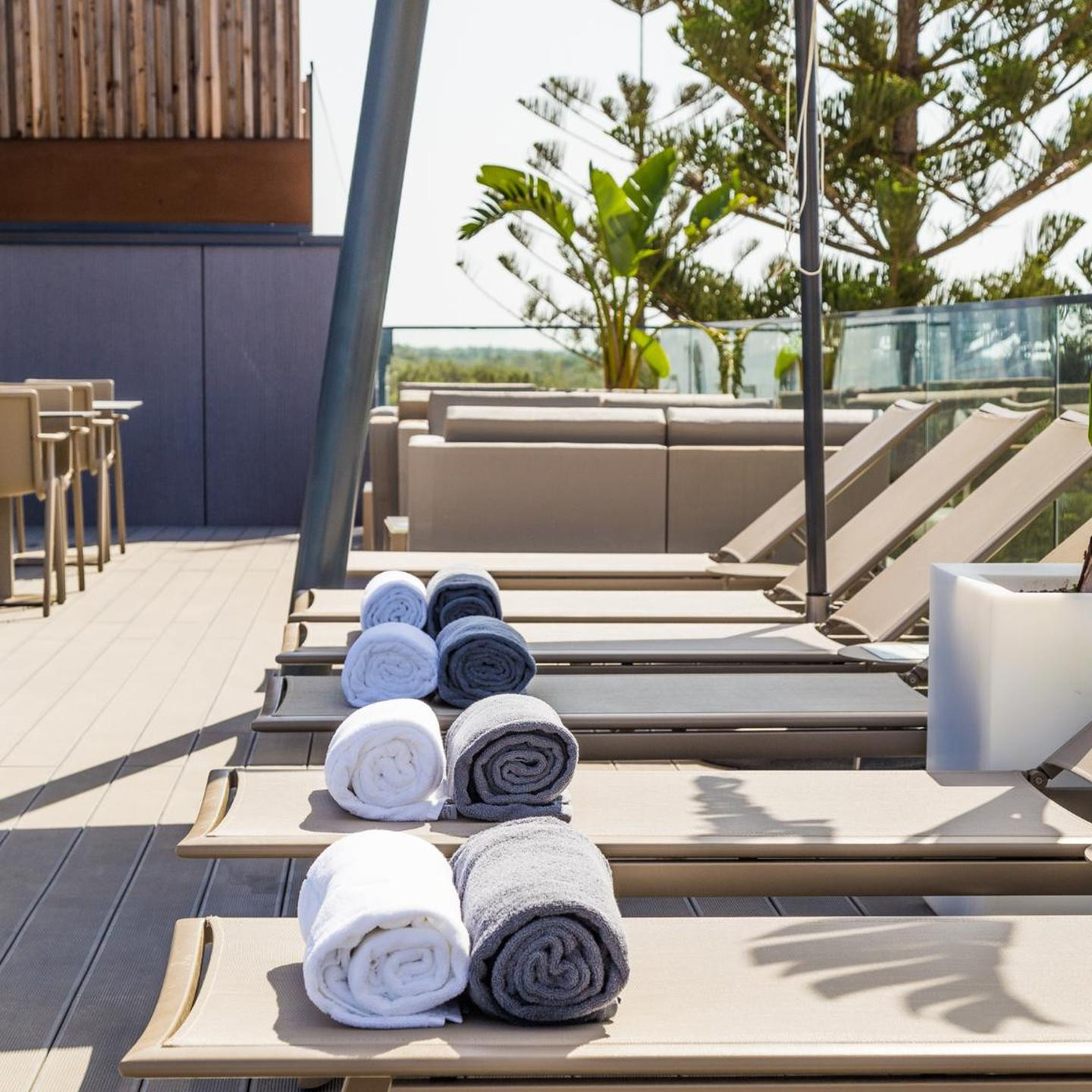 The Prime Energize Monte Gordo