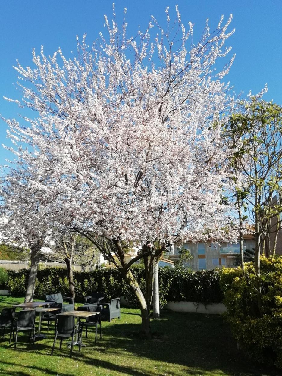 Hotel Ancora