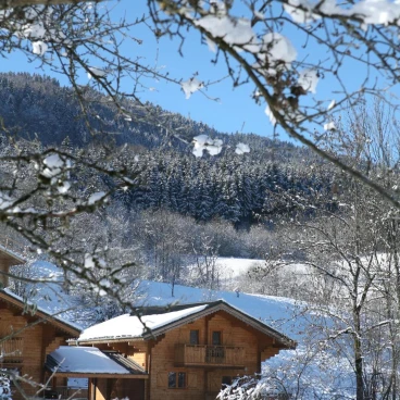 Résidence Néméa Les Chalets du Bois de Champelle