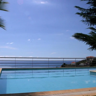 Casa do Papagaio Verde