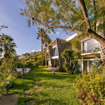 Casa do Papagaio Verde