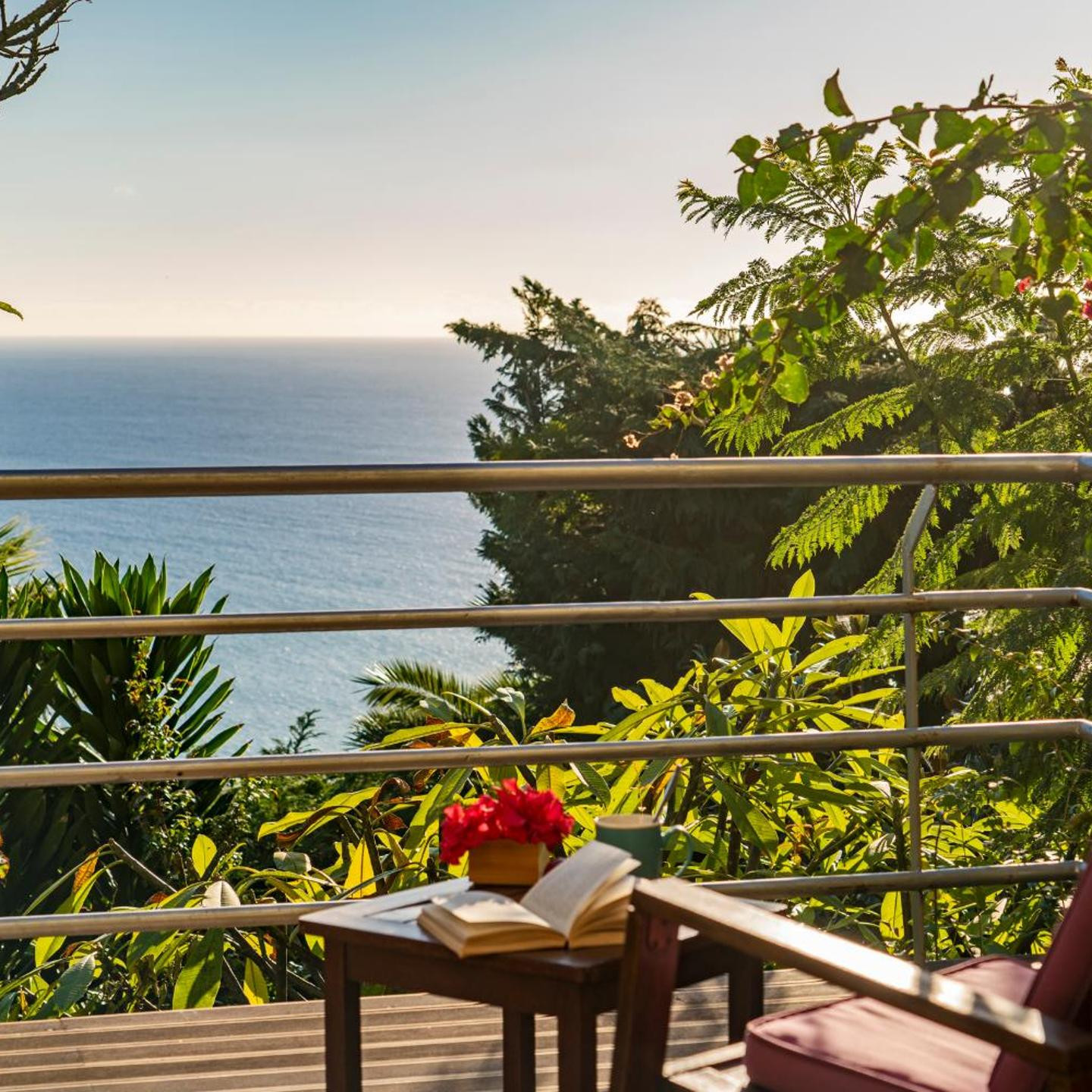 Casa do Papagaio Verde